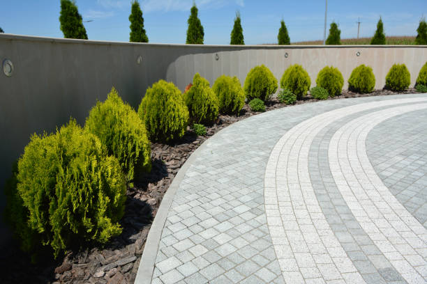 Best Residential Paver Driveway  in Union, MS